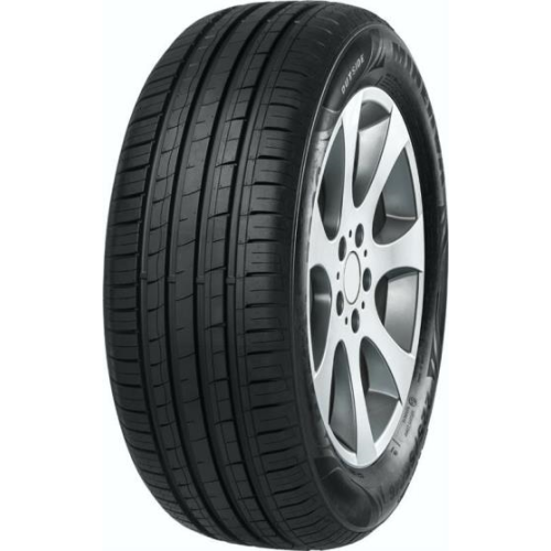 205/55R16 91W, Minerva, F209