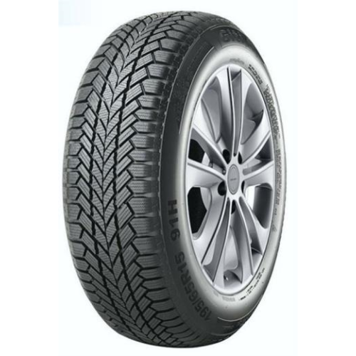 205/55R16 91H, Giti, WINTER W1