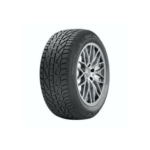 195/60R15 88T, Riken, SNOW