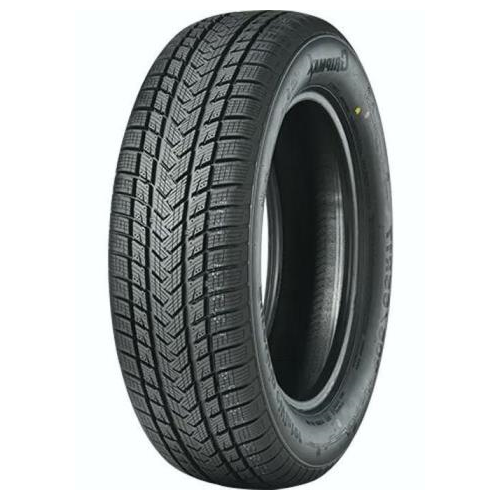 255/60R20 113V, Gripmax, SURE GRIP eWINTER