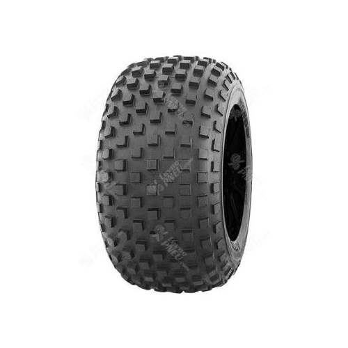 22x11D10 , Wanda, P339