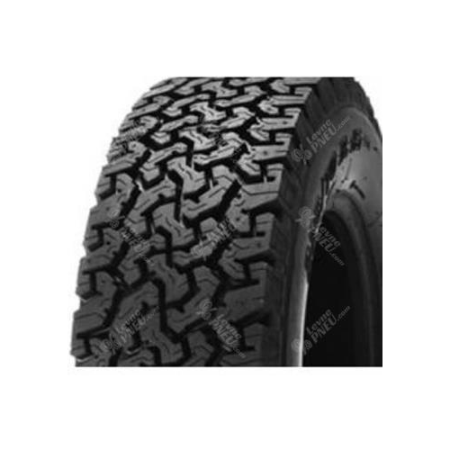 225/65R16 100Q, Colway (Reg.), GLOBE-TROTTER TRAX