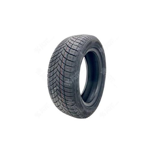 175/65R14 82T, Otani, WE1000